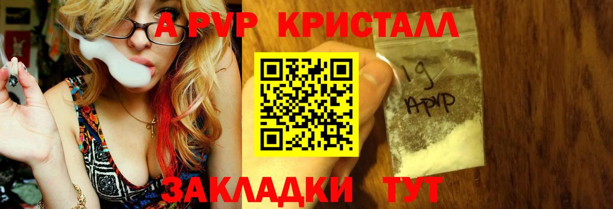 Альфа ПВП СК КРИС Буйнакск