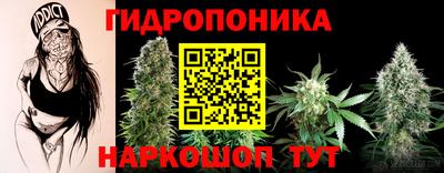 молекула духа Краснодар