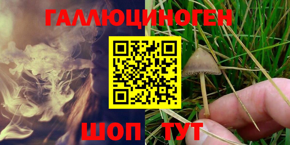 Галлюциногенные грибы GOLDEN TEACHER Буйнакск